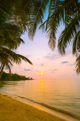 beautiful paradise island with beach sea around coconut palm tree